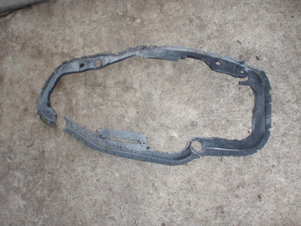 P4010010