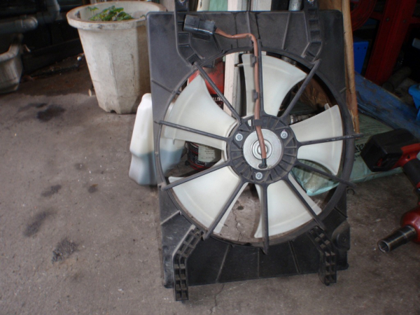 P3250005
